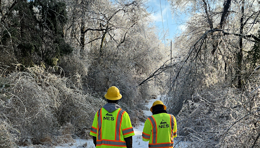 Woke NES CEO on Tree Trimming: ‘I Don’t Want Us Out Destroying the Canopy’
