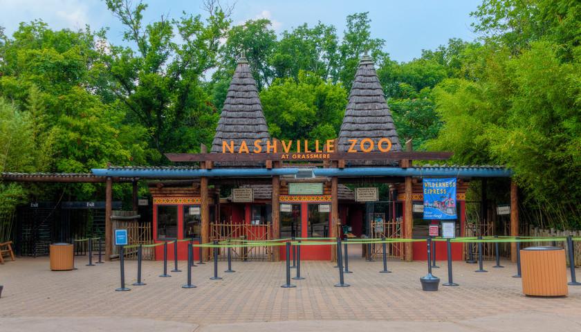 Nashville Zoo Cancels Zoolumination for 2026 Due to Visa Issues